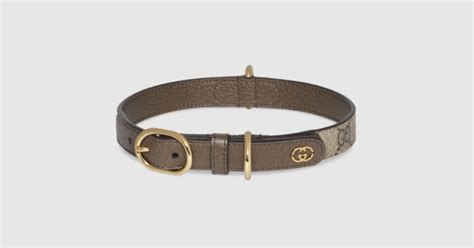 collare gucci cane prezzo|Medagliette e Collari di Lusso per Cani .